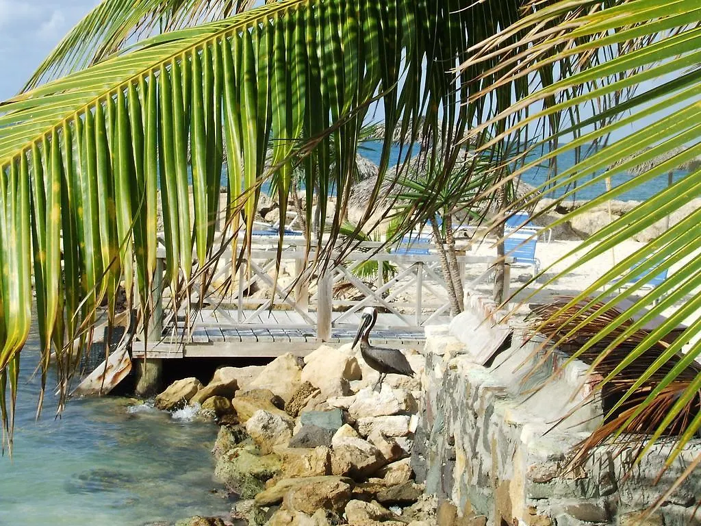 Northshore Seaside Suites St. John's Antigua/Barbuda