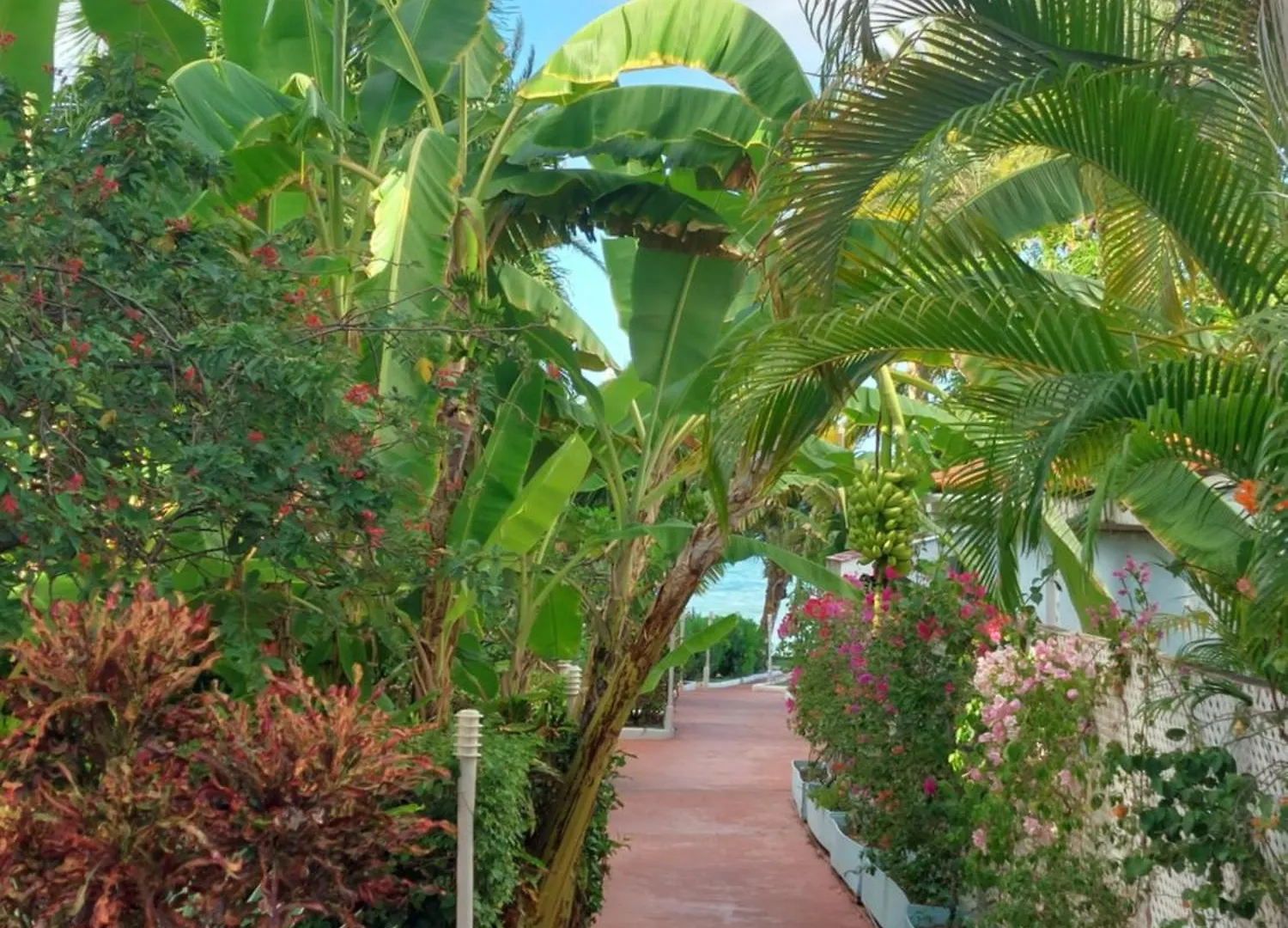 Hotel Northshore Seaside Suites St. John's